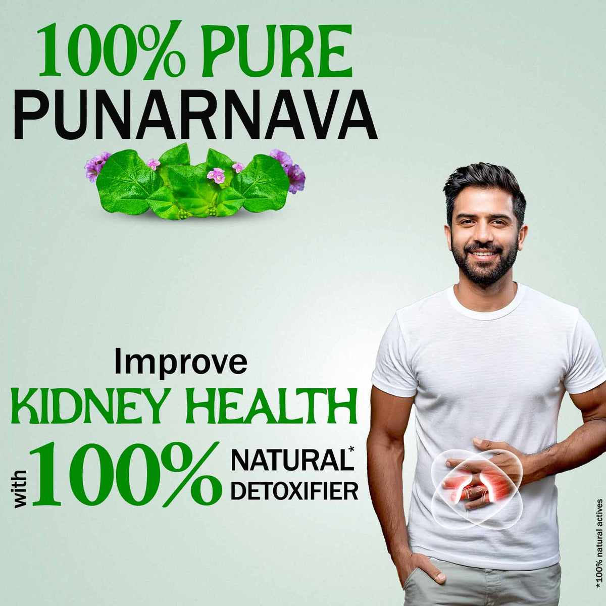 Zandu-O Kidney Detox Support (Pure Punarnava) 60 N Caps x 1U