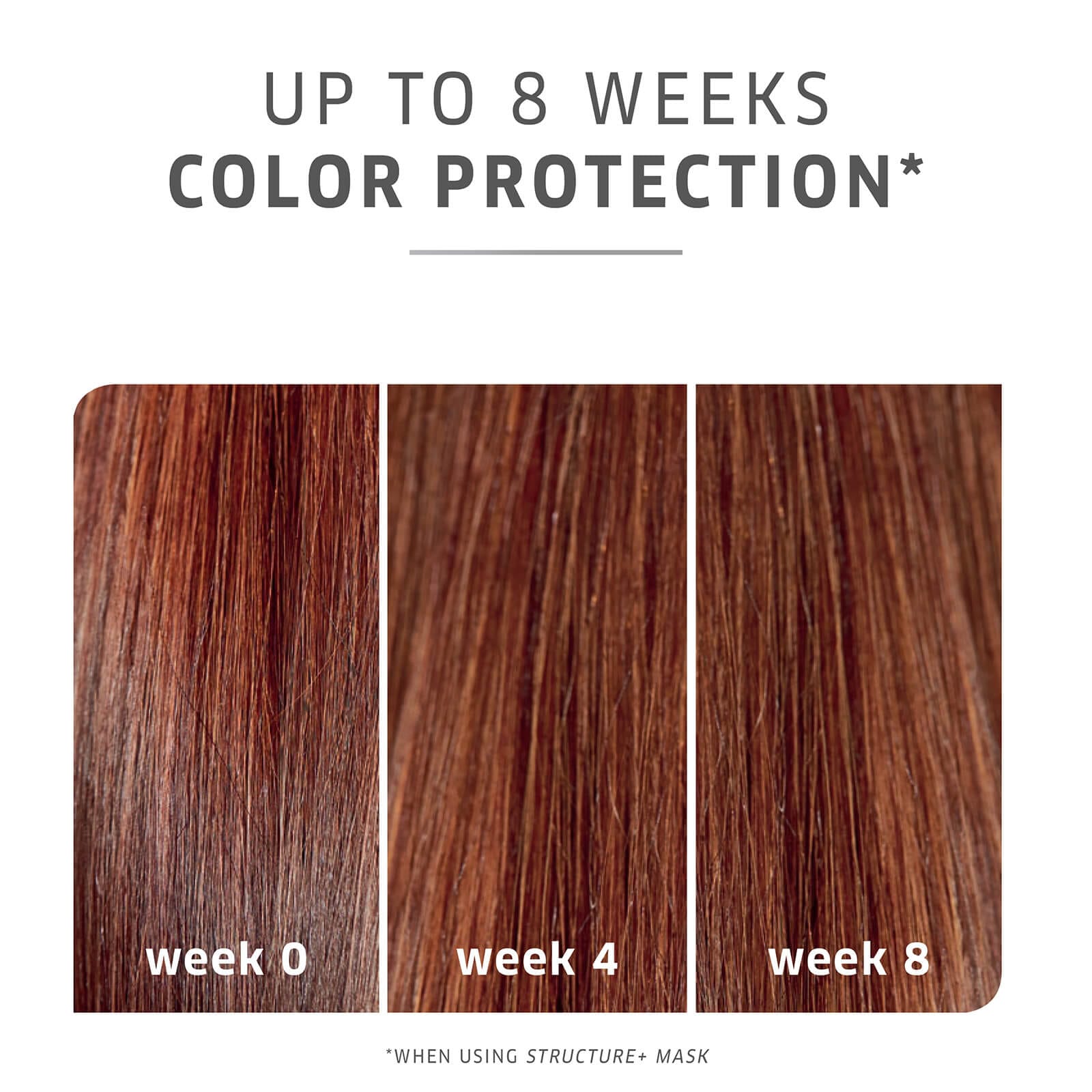 Wella Professionals - Color Motion+ Color Protection Shampoo (1000mL)