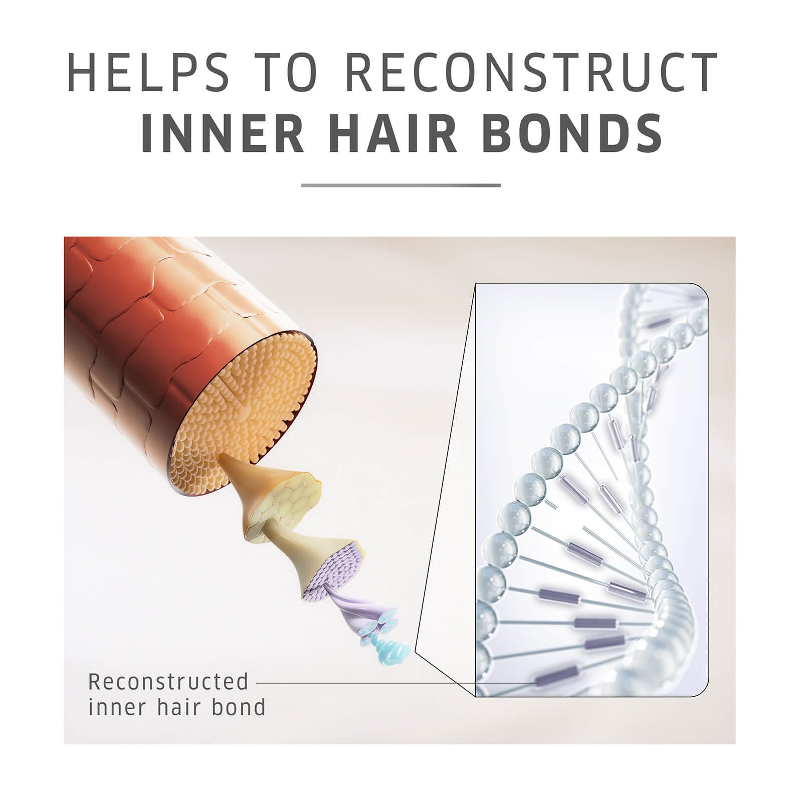 Wella Professionals - Color Motion+ Structure+ Hair Mask with WellaPlex Bonding Agent (500mL)