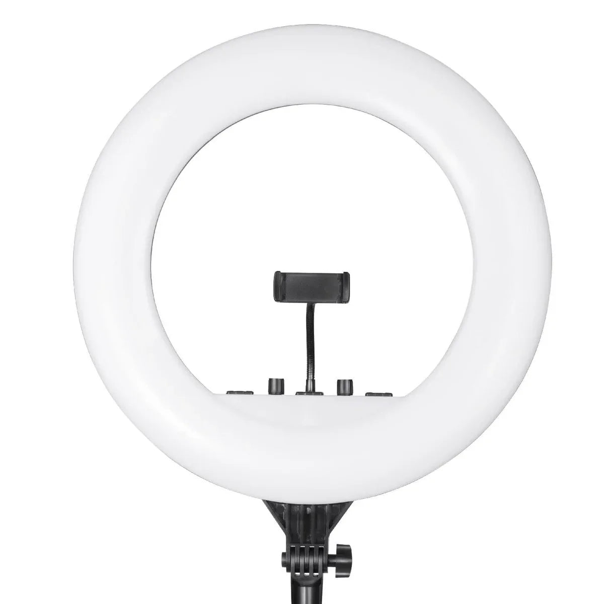 Digitek Platinum DPRL-19RT Professional LED Ring Light Runs on AC Power with No Shadow apertures, Ideal use for Makeup, Video Shoot, Fashion Photography & Many