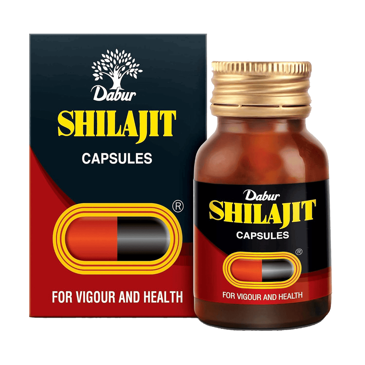 Dabur Shilajit Capsules 100 Capsules