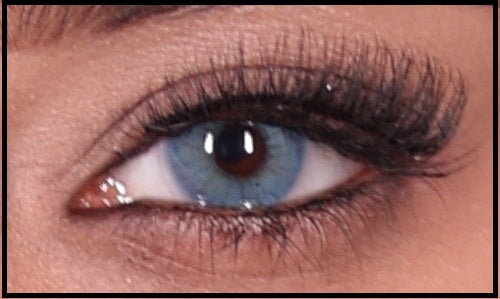 Gouri Cosmetics Premium Color Contact Lenses 5 Pair BRIDAL BROWN