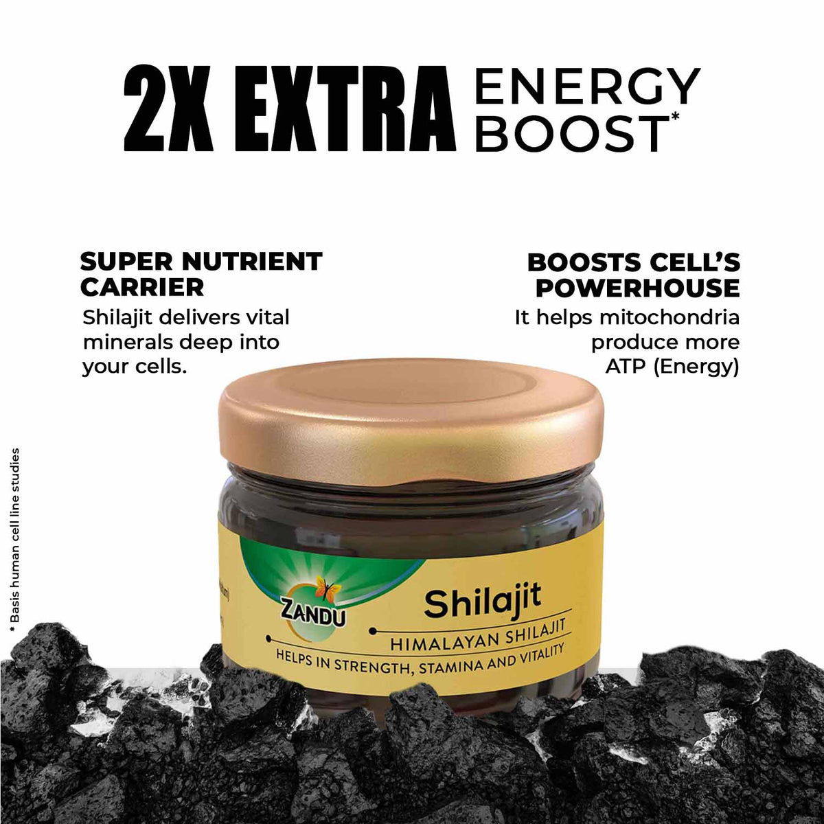 Zandu-P Zandu Himalayan Shilajit Resin - 10g (Pack of 2) 10g X 2U