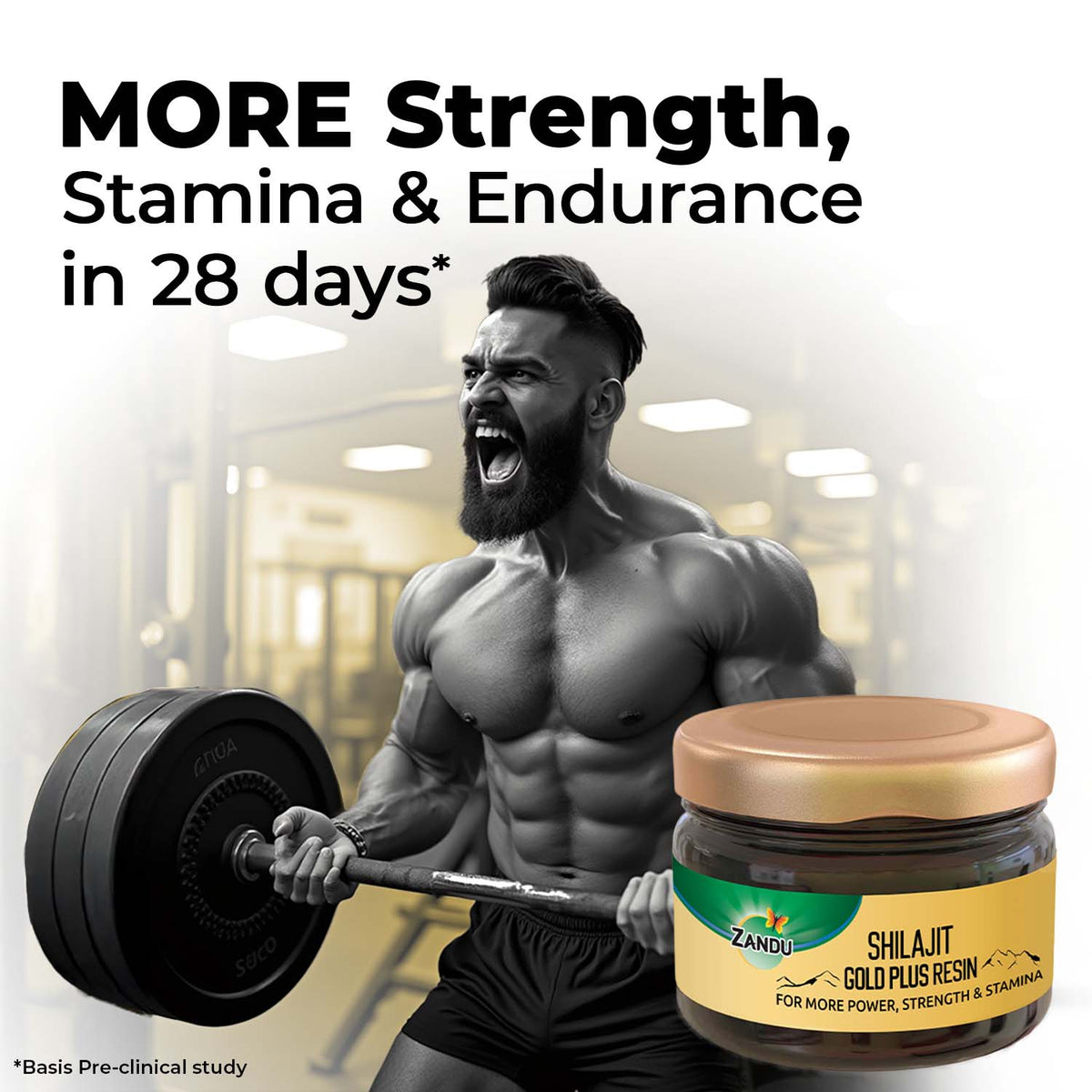 Zandu-P Zandu Shilajit Gold Plus Resin (Pack of 2) 20g X 2U