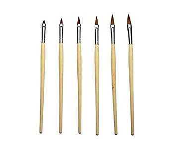 Shills Professional Nail Art Brush Set