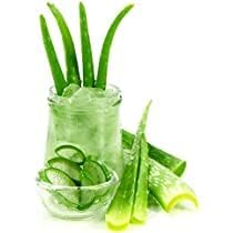LOVELY Skin Purifying Pure Aloe Vera Gel Moisturizing Therapy for Dry Skin, Body and Hair | Contains Vitamin E - 200 ML 200 ml (Pack of 1)