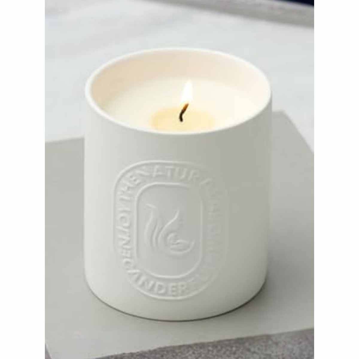 Absorbia White Green Mountains and Water Scented Candle · One Size