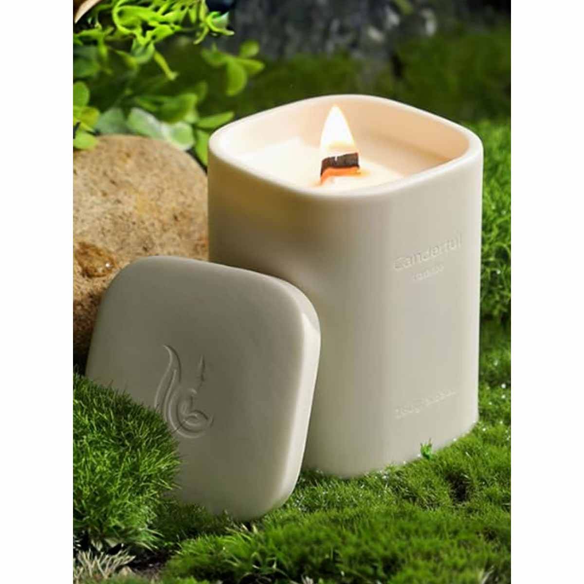 Absorbia White Ebony Agilawood Scented Candle · One Size