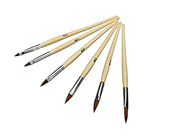 Shills Professional Nail Art Brush Set