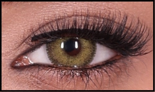 Gouri Cosmetics Premium Color Contact Lenses 5 Pair BRIDAL BROWN