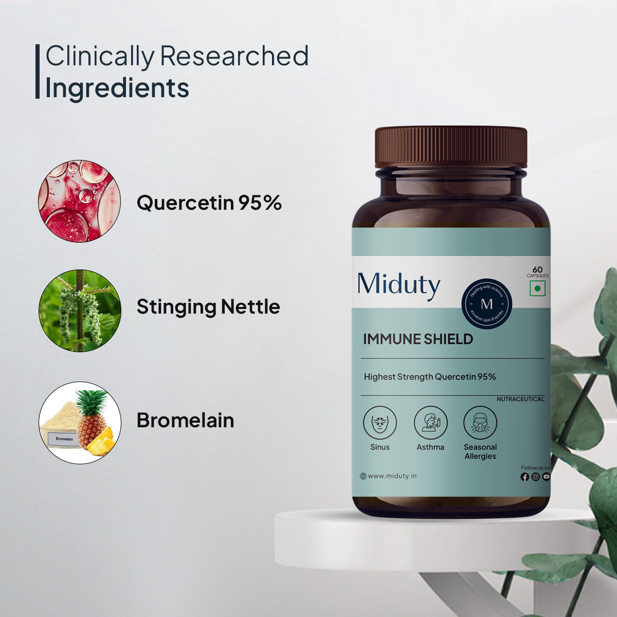 Miduty Immune Shield | Quercetin 95%