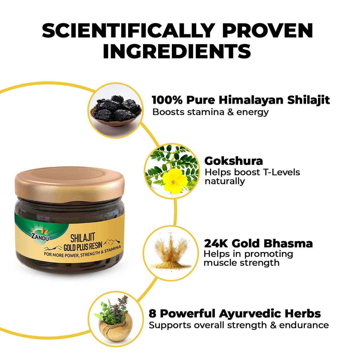 Zandu-P Zandu Shilajit Gold Plus Resin (Pack of 2) 20g X 2U
