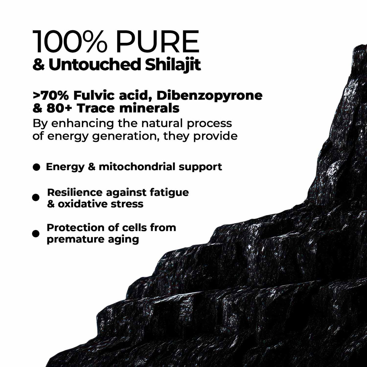 Zandu-P Zandu Himalayan Shilajit Resin - 10g (Pack of 2) 10g X 2U