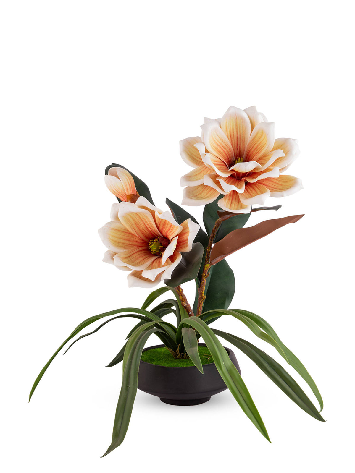 Aarvi Decor Beige Faux Leather Magnolia Serenade Arrangement Pot With Flower