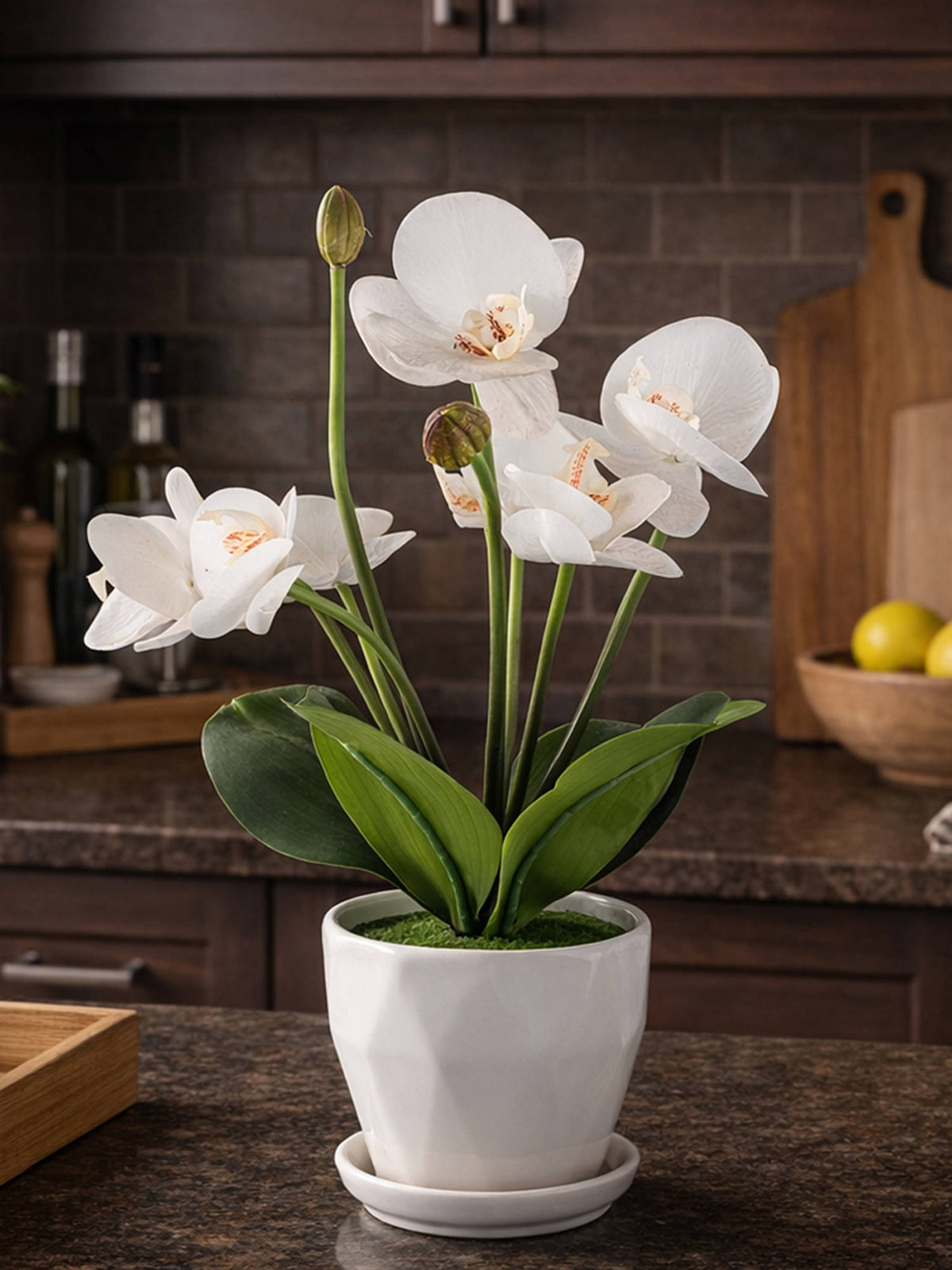 Aarvi Decor White Silk Fabric Orchid Radiance Arrangement Pot With Flower