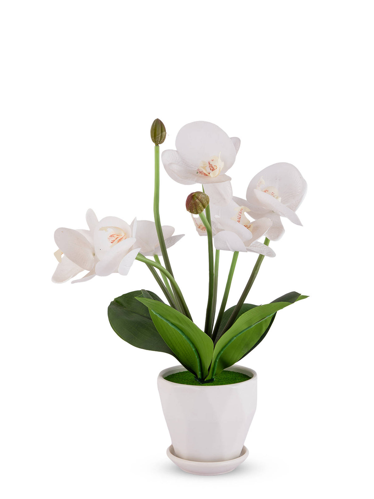 Aarvi Decor White Silk Fabric Orchid Radiance Arrangement Pot With Flower
