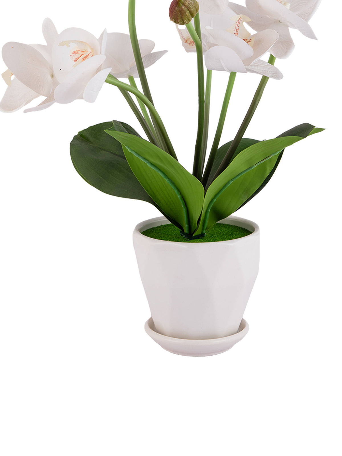 Aarvi Decor White Silk Fabric Orchid Radiance Arrangement Pot With Flower