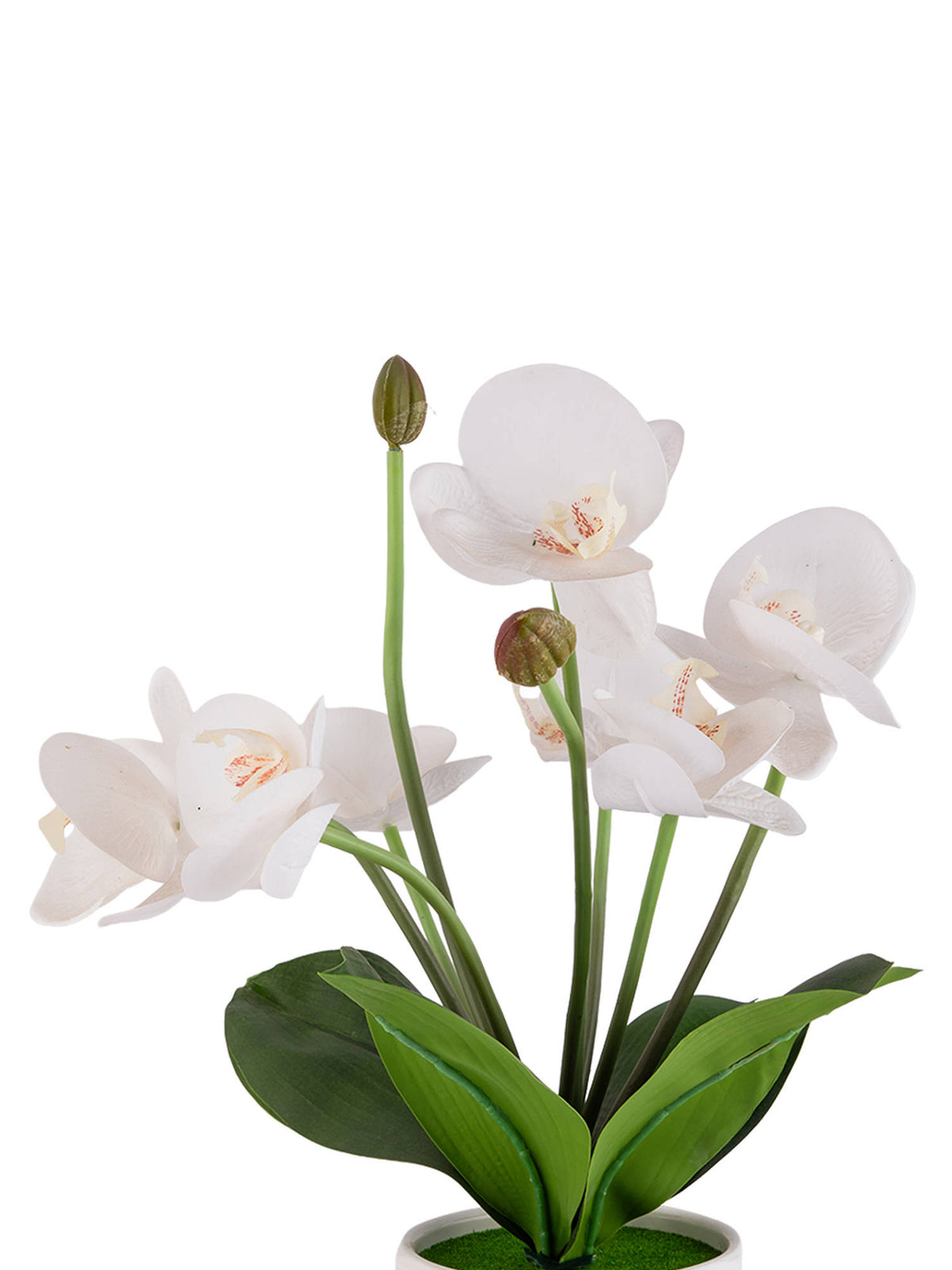 Aarvi Decor White Silk Fabric Orchid Radiance Arrangement Pot With Flower
