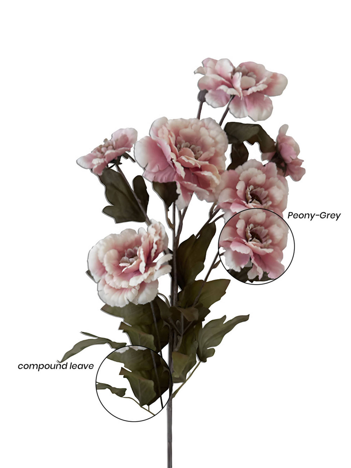 Aarvi Decor Pink Peony Silk Stem Single Stem Flower