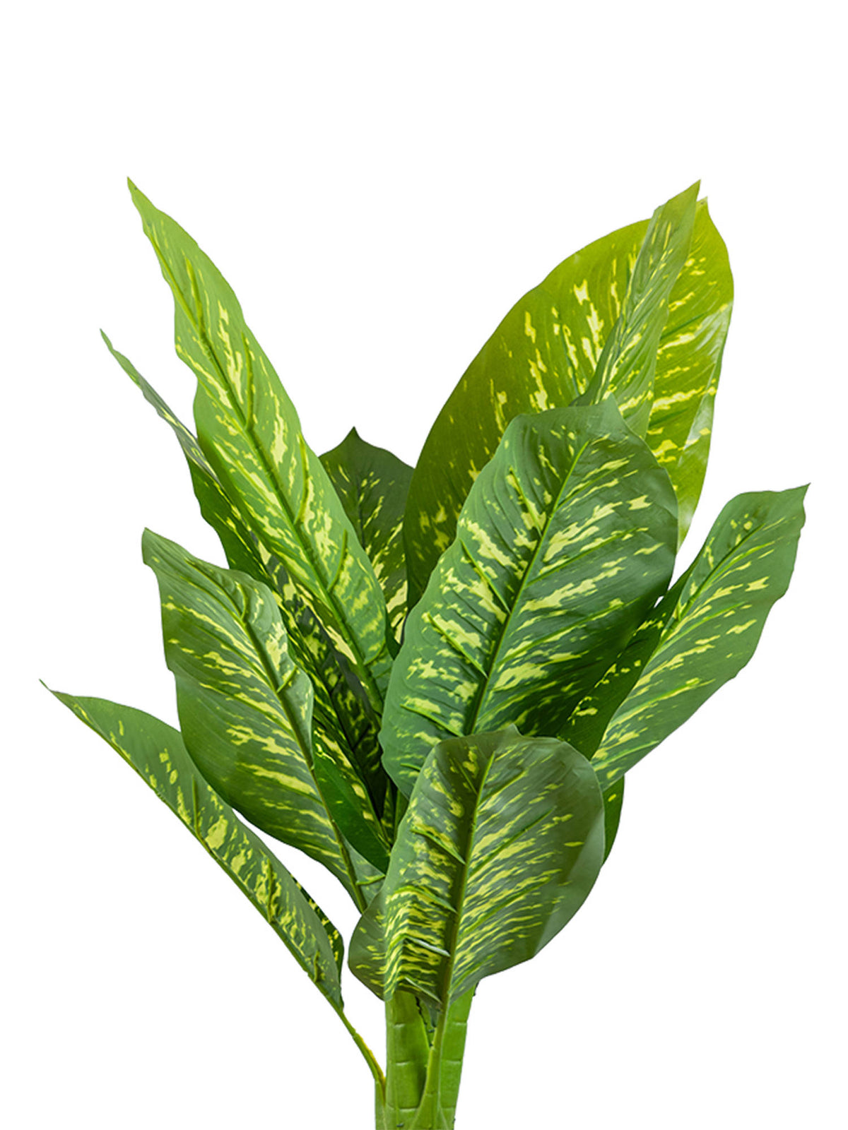 Aarvi Decor Green Dieffenbachia Artificial Plant Big Size For Home Decor Without Pot