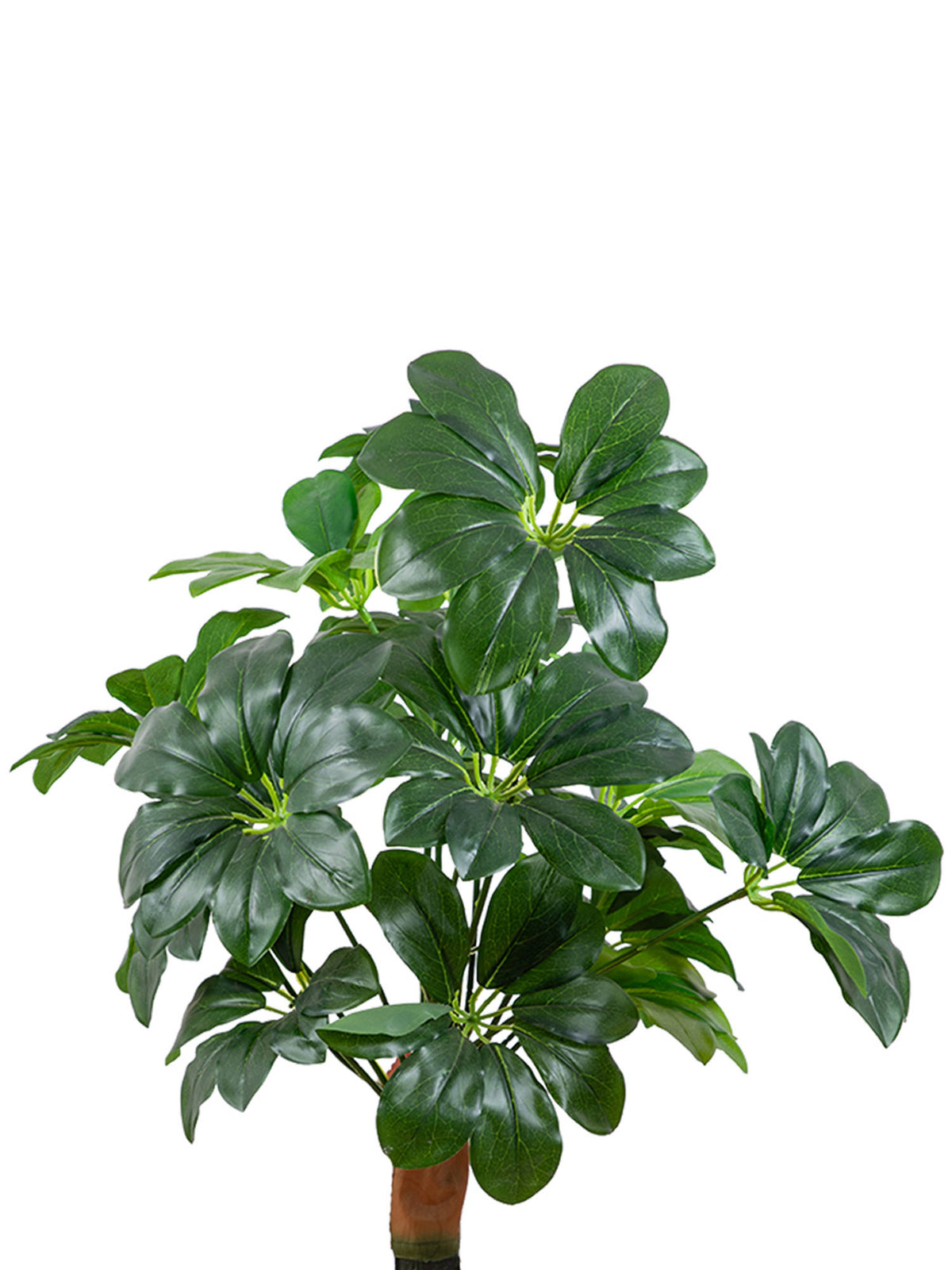 Aarvi Decor Green Artificial Umbrella Plant With Base Big Size For Home Decor Without Pot