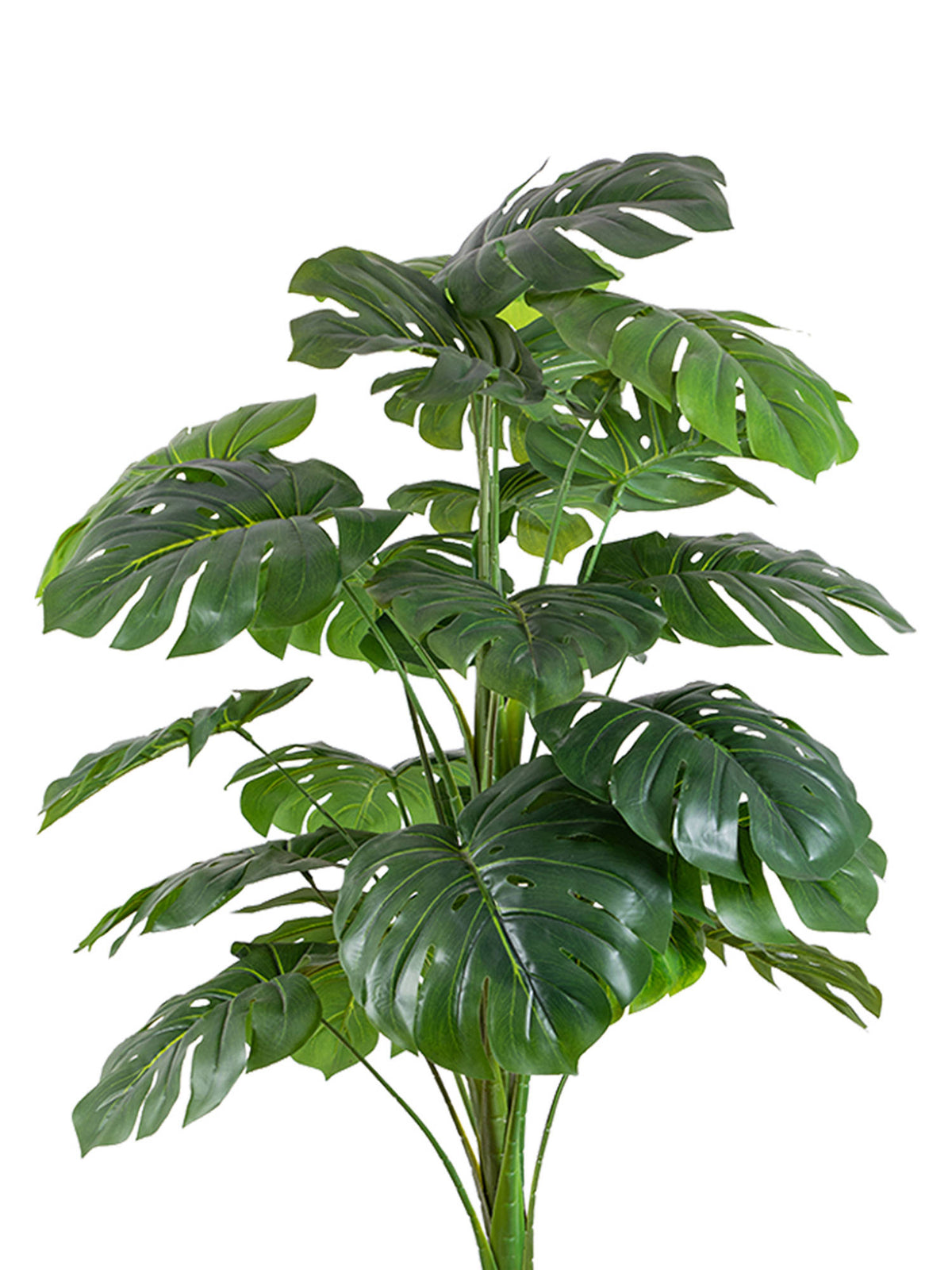 Aarvi Decor Green Artificial Monstera Deliciosa Plant Big Size For Home Decor Without Pot