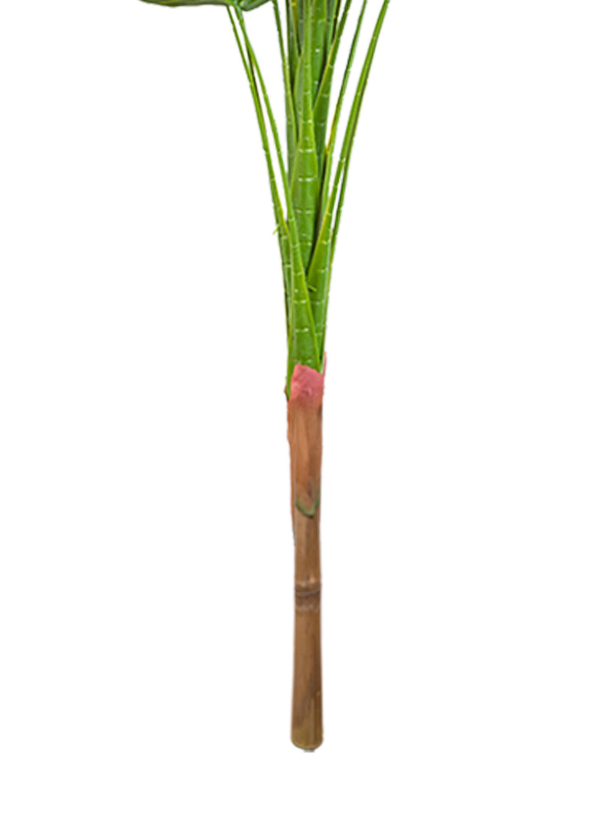 Aarvi Decor Green Exotic Artificial Calathea Plant Big Size For Home Decor Without Pot