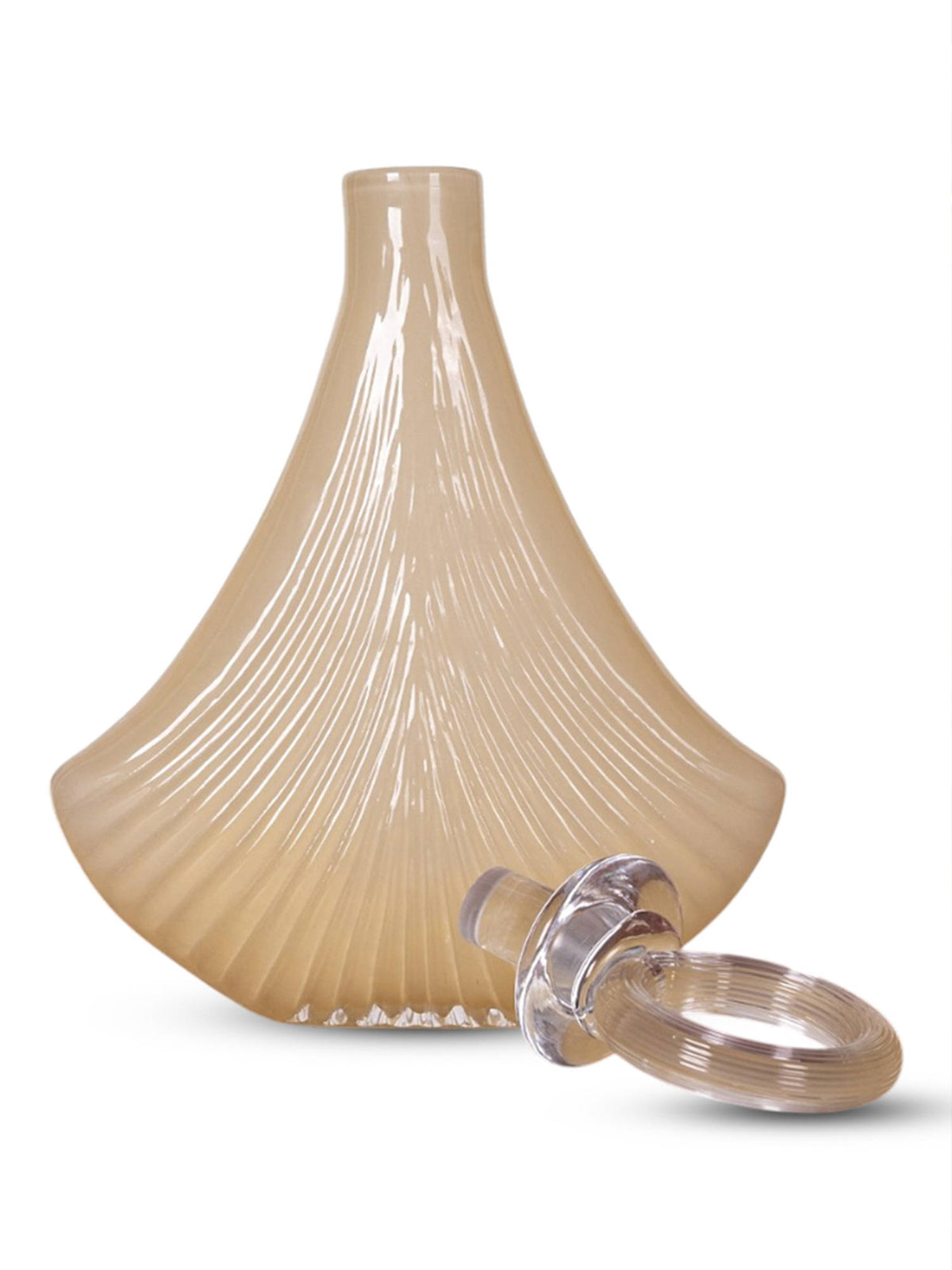 Aarvi Decor Seashell Elegance Transparent Beige Glass Vase