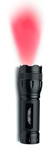 Aviation Supplies 26 Academics ASA Flightlight