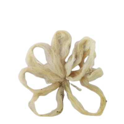 Lotus & Banana Wicks for Pooja | Banana Vathulu Natural, Organic, and Spiritual Enhancers | Thick and Big Size Special Wick for Pooja | Pack of 6