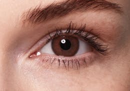 SWATI - BRONZE 6-MONTHS LENSES