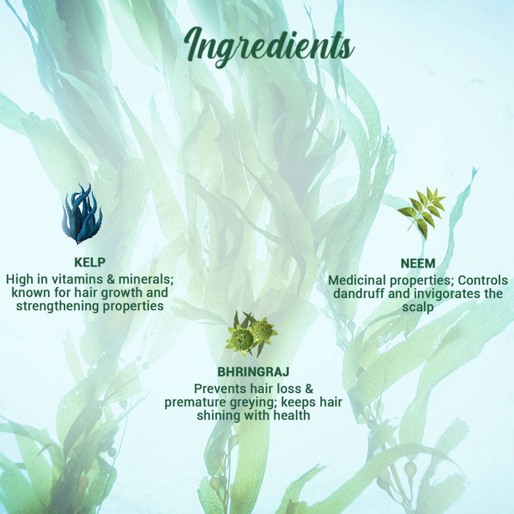 Biotique Ocean Kelp Anti Hair Fall Shampoo