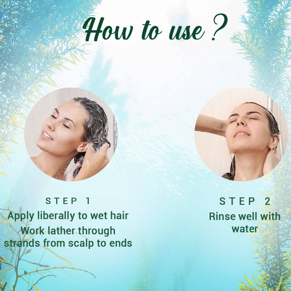 Biotique Ocean Kelp Anti Hair Fall Shampoo
