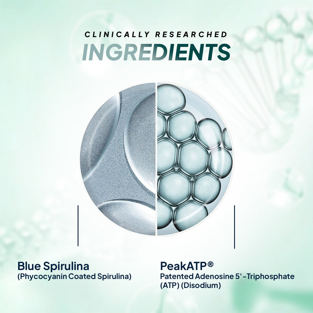 Miduty Blue Spirulina + PeakATP®