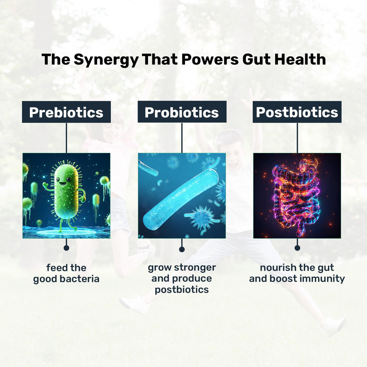 Miduty PROBIOTICS+ (For Kids)