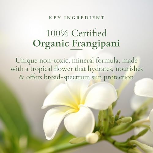 Lotus Organics+ Precious Brightening Night Cream 30G+Gel Mineral Sunscreen SPF 30,100G
