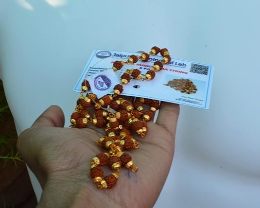 Rudraksh Mala with Japa Bag Gaumukhi, Natural Himalayan Genuine Original Rudraksha Rosary Garland Japa Mala, Religious Tibetan Rudraksha Mala Necklace Bracelet