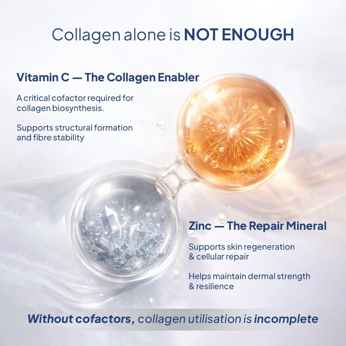 Miduty Marine Collagen 4X