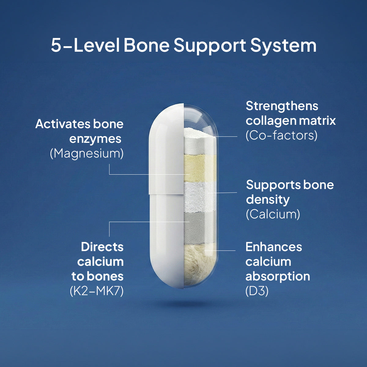 Miduty Bone Matrix