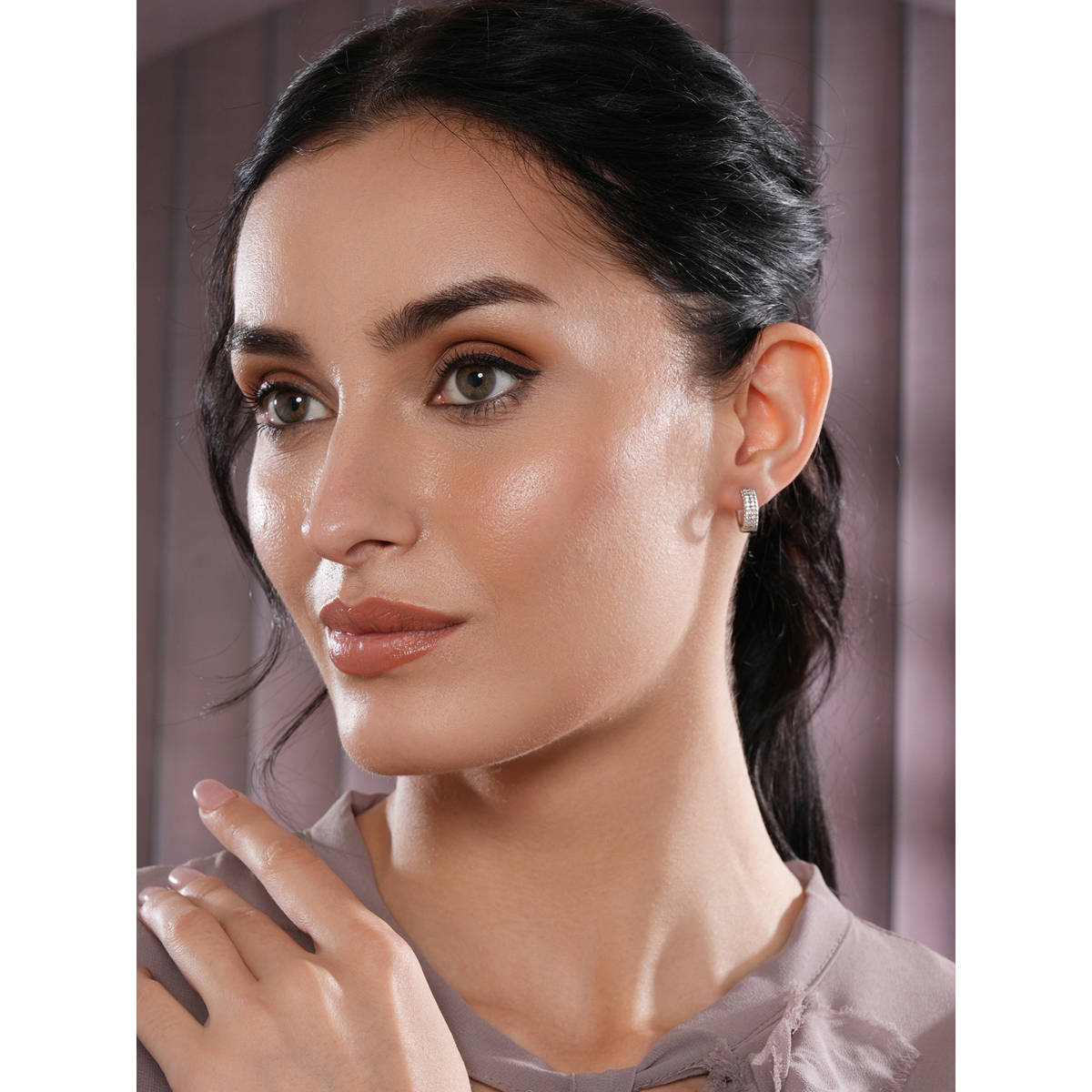 Aatmana Silver-Toned CZ Studded Circular Hoop Earrings
