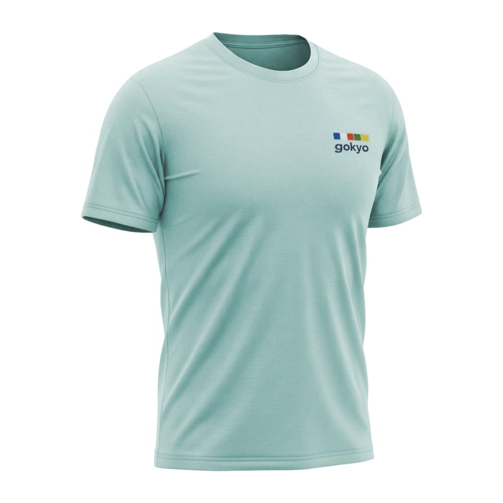 GOKYO Aero Apex Mesh-Knit Activewear T-Shirt for Men M Light Grey