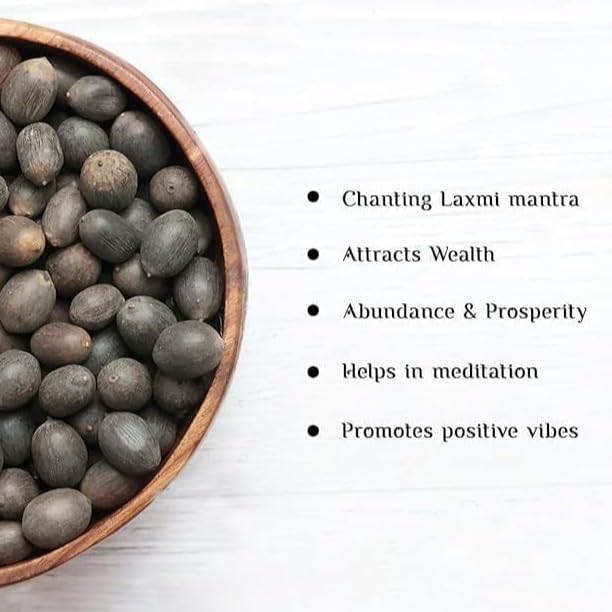 All Season Lotus Flower Hybrid Japanese Seeds | Kamal Organic Beej | Dwarf Aquatic Lotus Plant | 95% Germination | Home Garden Water Feature | Pack of 10
