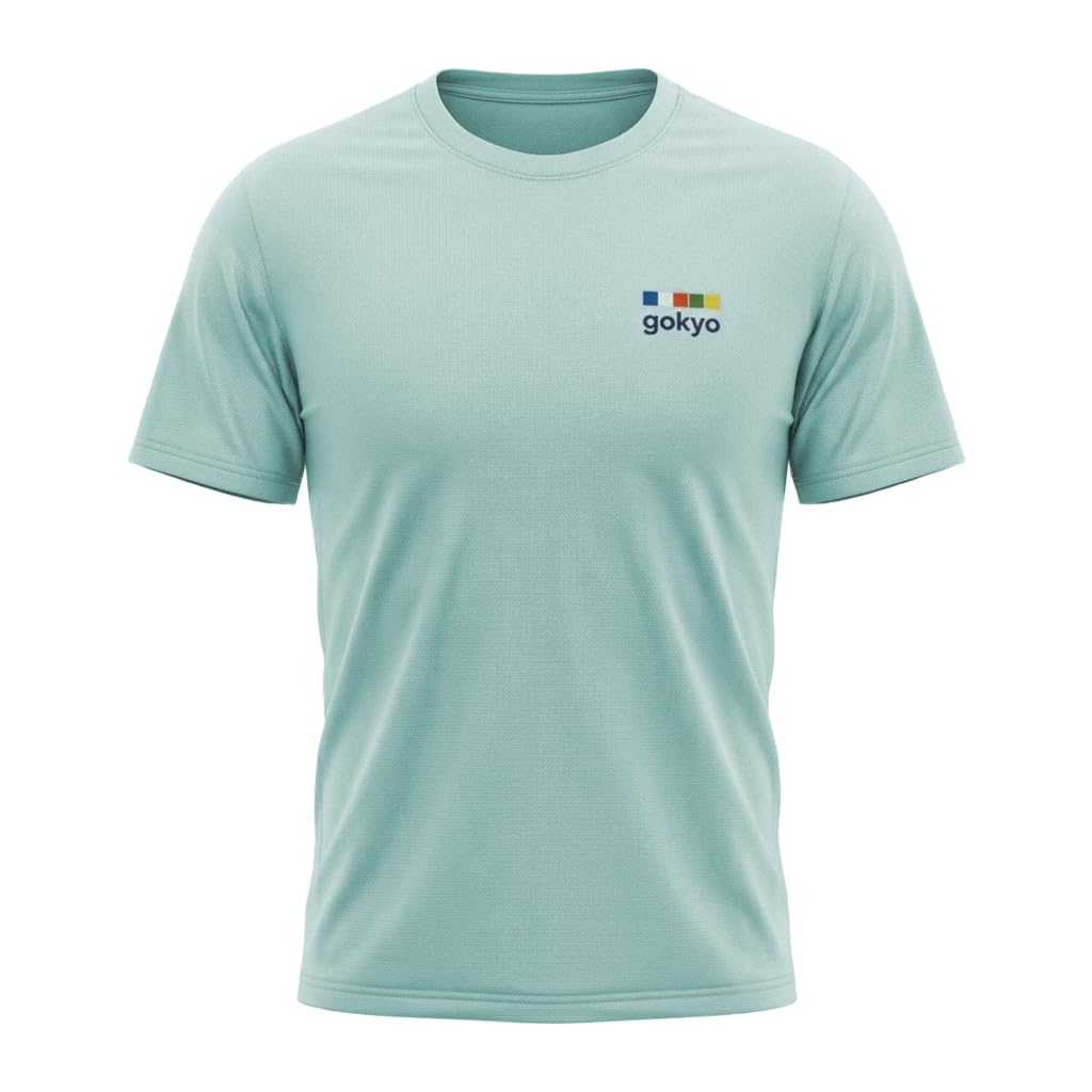 GOKYO Aero Apex Mesh-Knit Activewear T-Shirt for Men M Light Grey