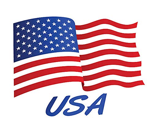 (American Brand) Premium Anti Virus 99% Pure & Distilled, Iso Propyl Alcohol - 475ml (Free Spray Bottle)