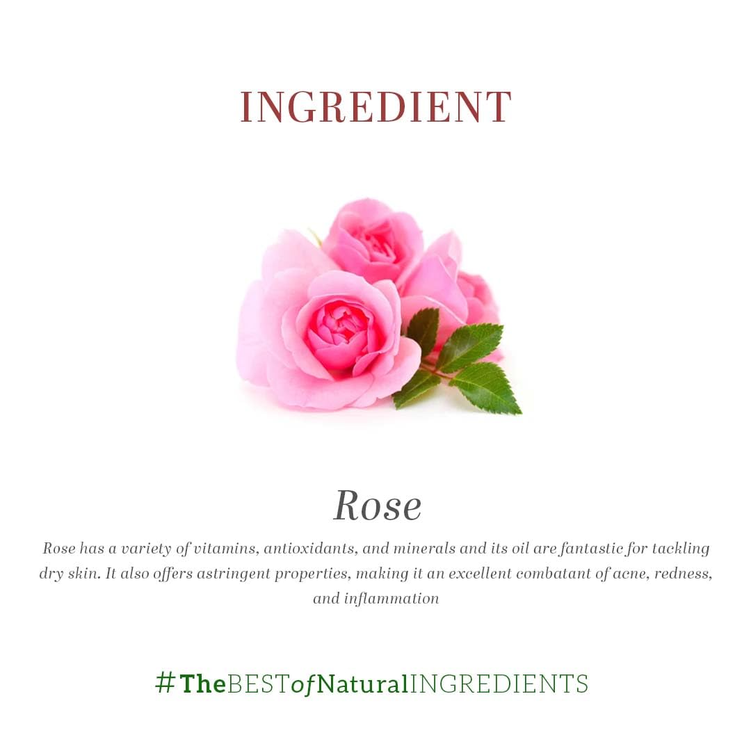 Khadi Natural Sandal and Rose Herbal Face Pack 50 g (Pack of 1)