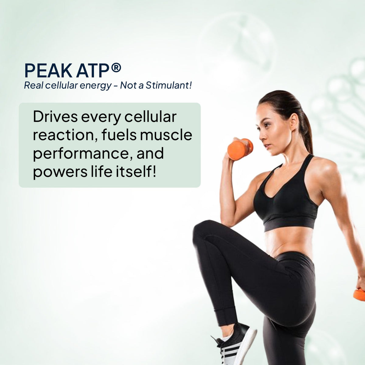 Miduty Blue Spirulina + PeakATP®
