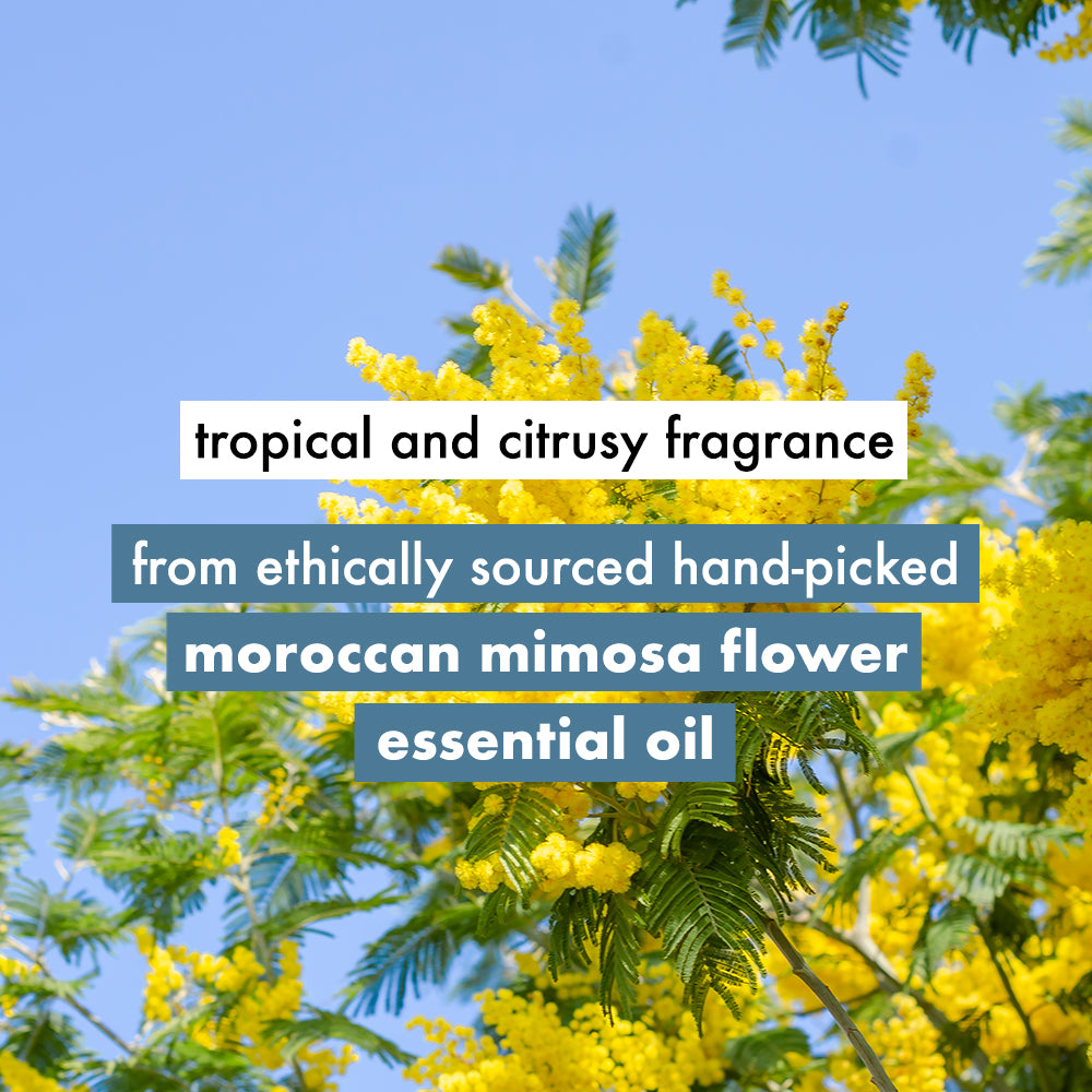 Love Beauty & Planet Coconut Water & Mimosa Flower Shampoo - 400 ml
