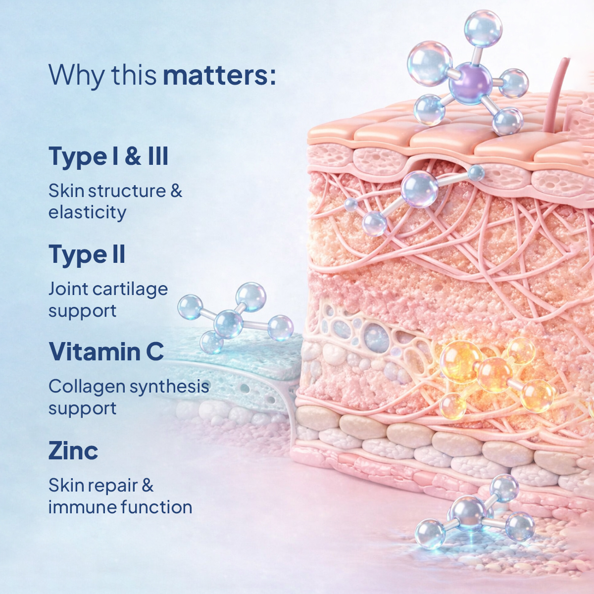Miduty Marine Collagen 4X