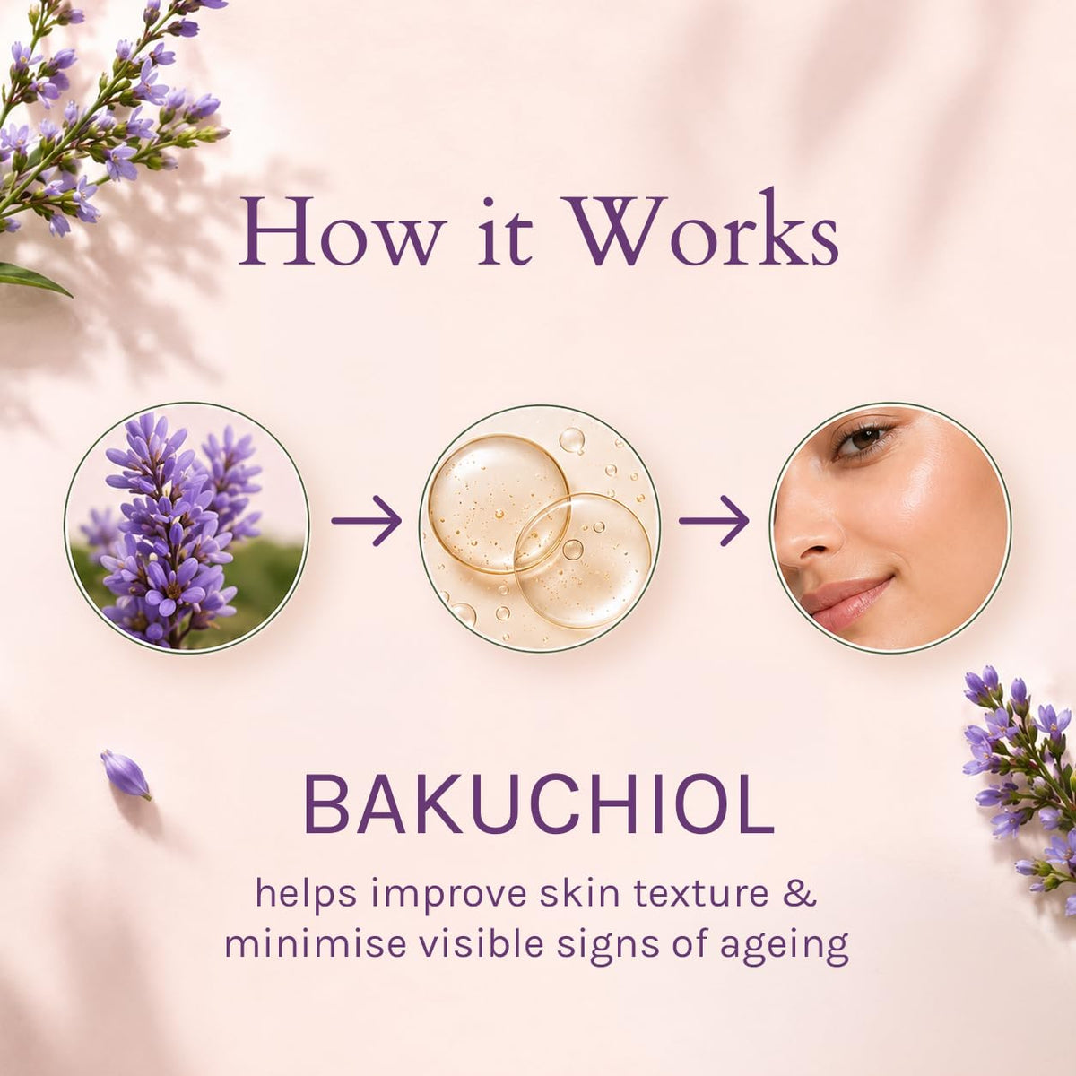 Lotus Organics+ Bakuchiol Plant Retinol Cream | 100% Certified Organic Bakuchiol | Anti-Ageing Face Cream For Fine Lines & Hydration | SPF 20 | PA+++ | 97% Natu