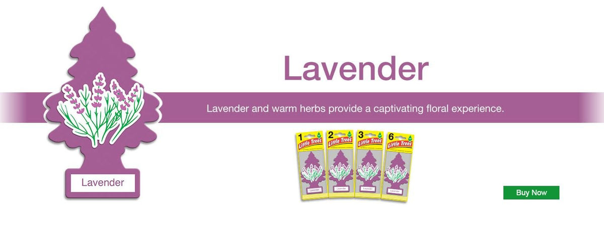 Little Trees Lavender Air Freshener (Pack of 3) | Calming Herbal Fragrance | Iconic Tree Hanging Design | For Car, Home, Wardrobe | Imported from USA Lavender 1